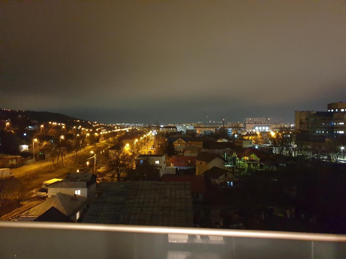 Madalina'S Apartment Iasi Exterior photo
